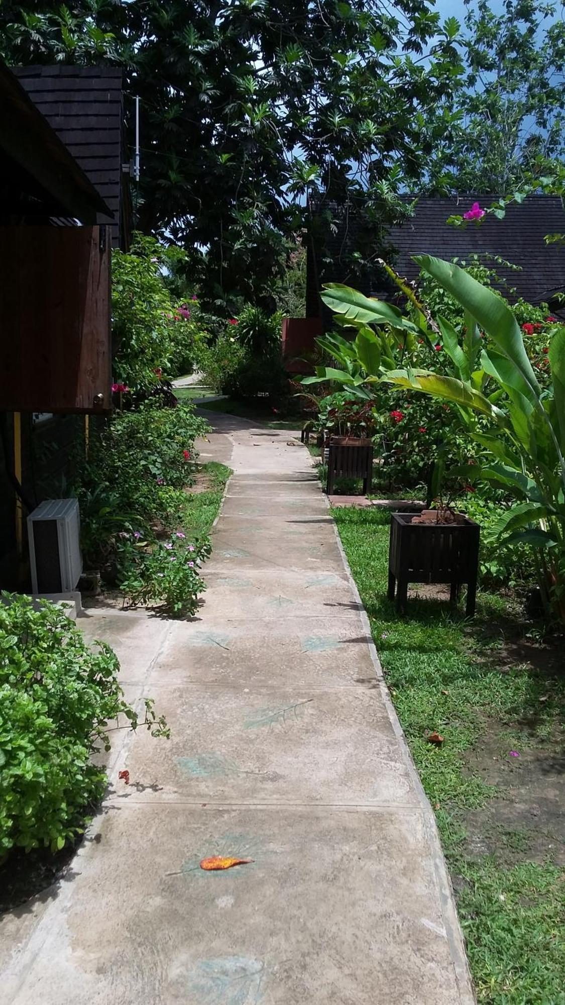 Firefly Beach Cottages Negril Exterior photo