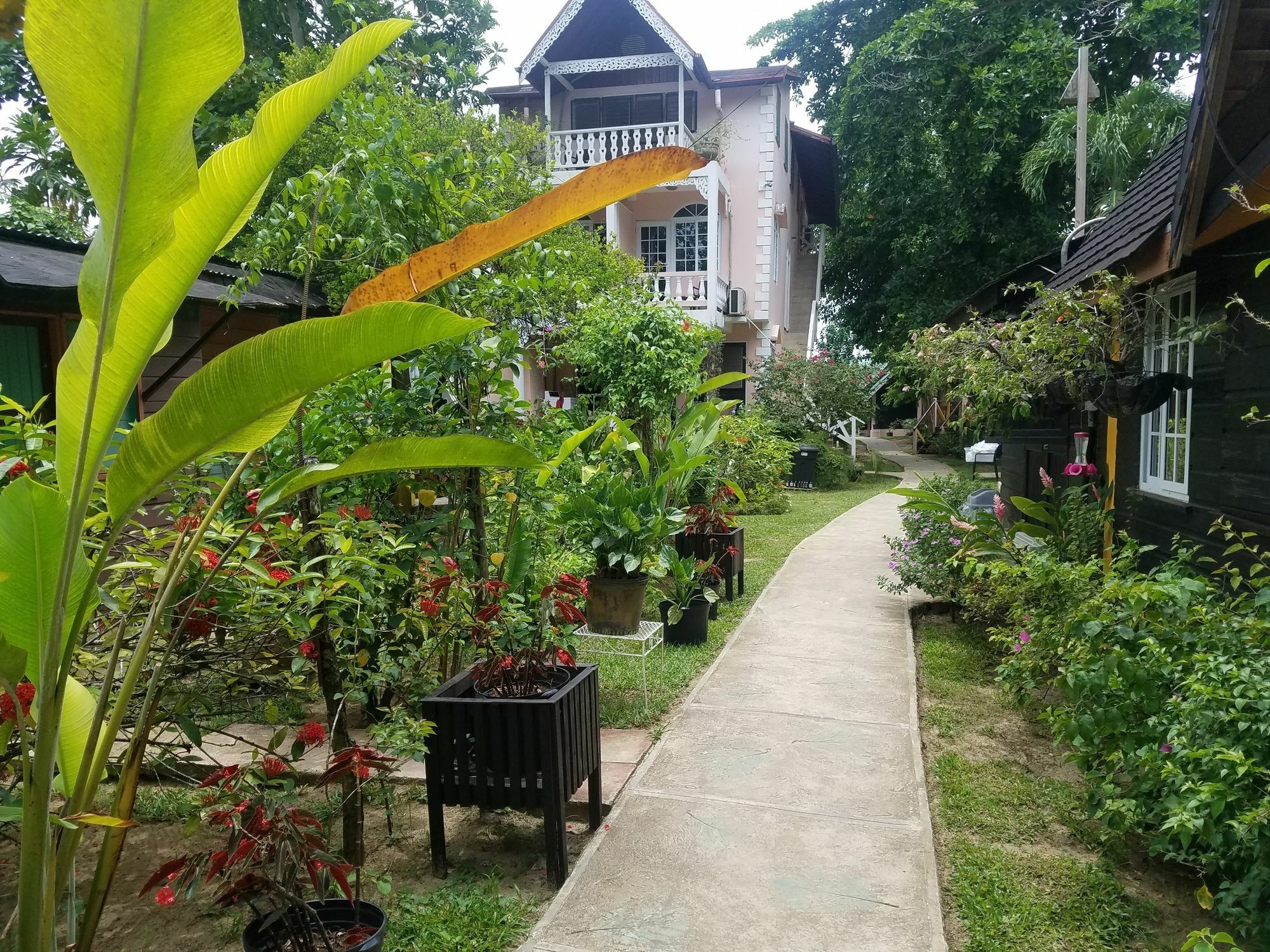 Firefly Beach Cottages Negril Exterior photo